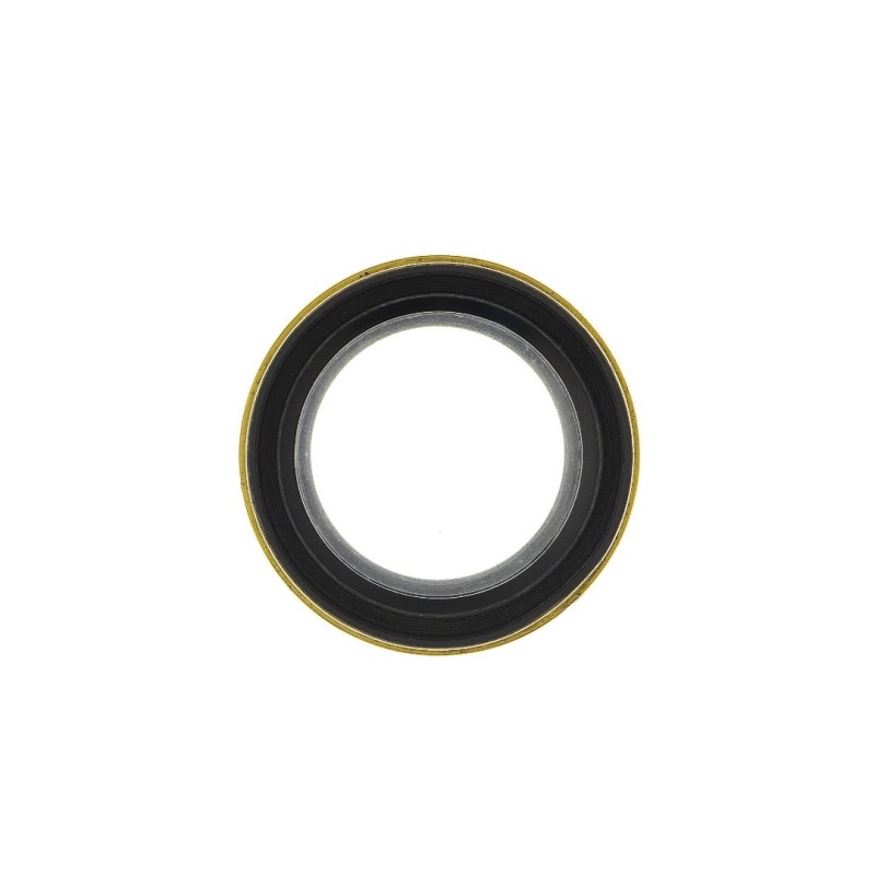 Dallmeyer Portrait Anastigmat 10" f4.5  