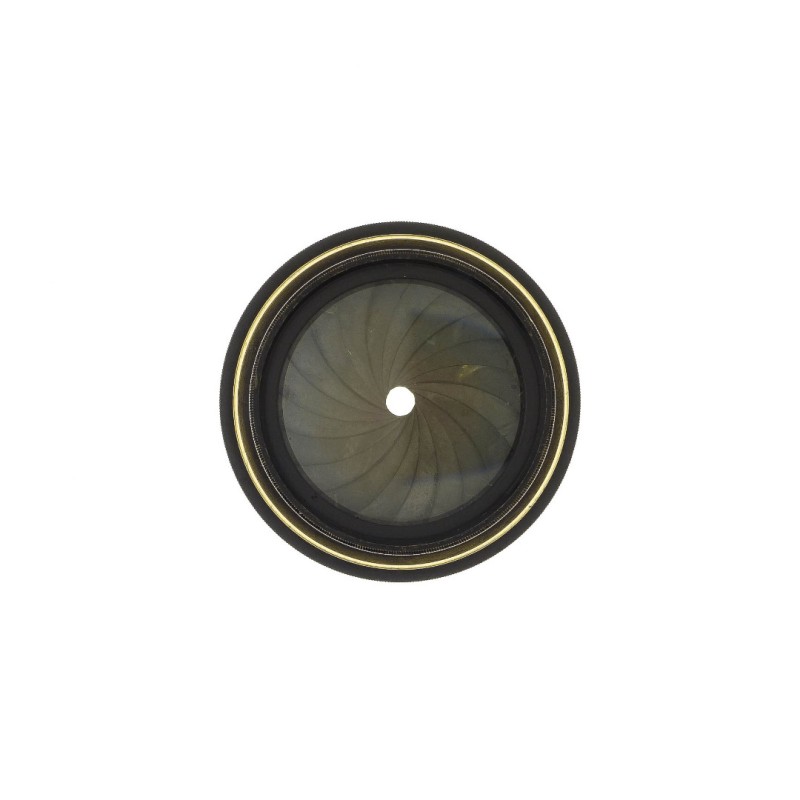 Dallmeyer Portrait Anastigmat 10" f4.5  