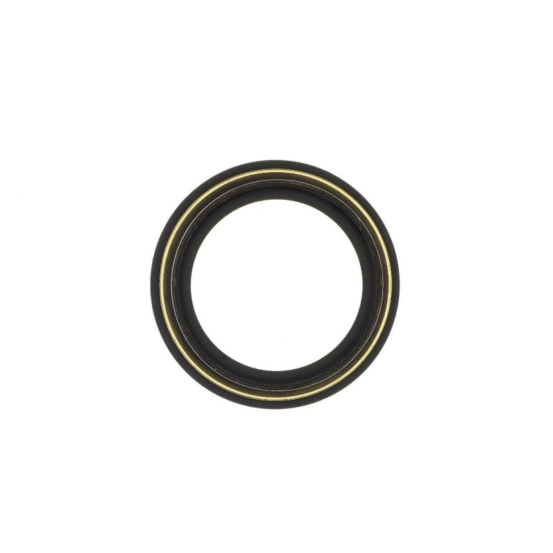 Dallmeyer Portrait Anastigmat 10" f4.5  